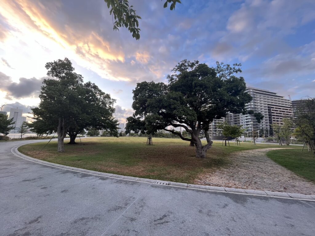 晴海ふ頭公園の噴水エリアの近景