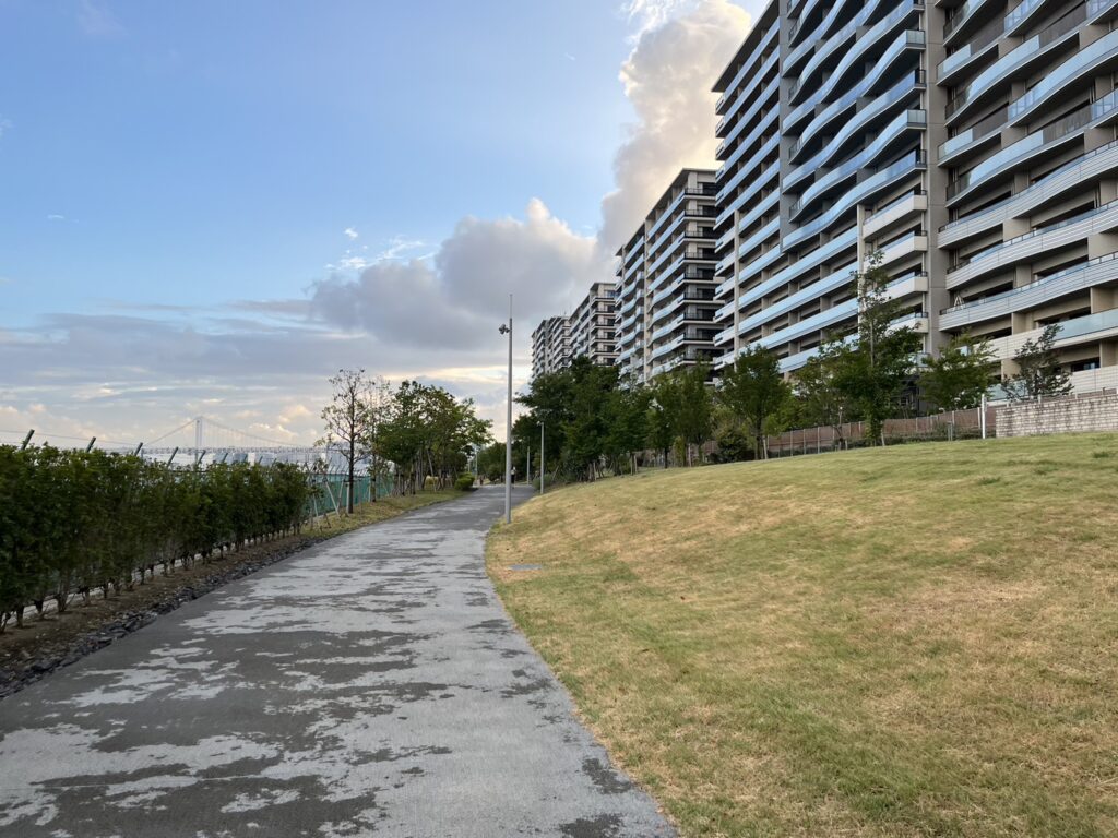 晴海緑道公園の並木が続くプロムナード