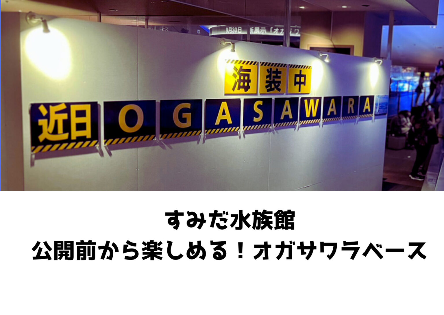 Sunset Gradient Picture Postcard 1 1 4