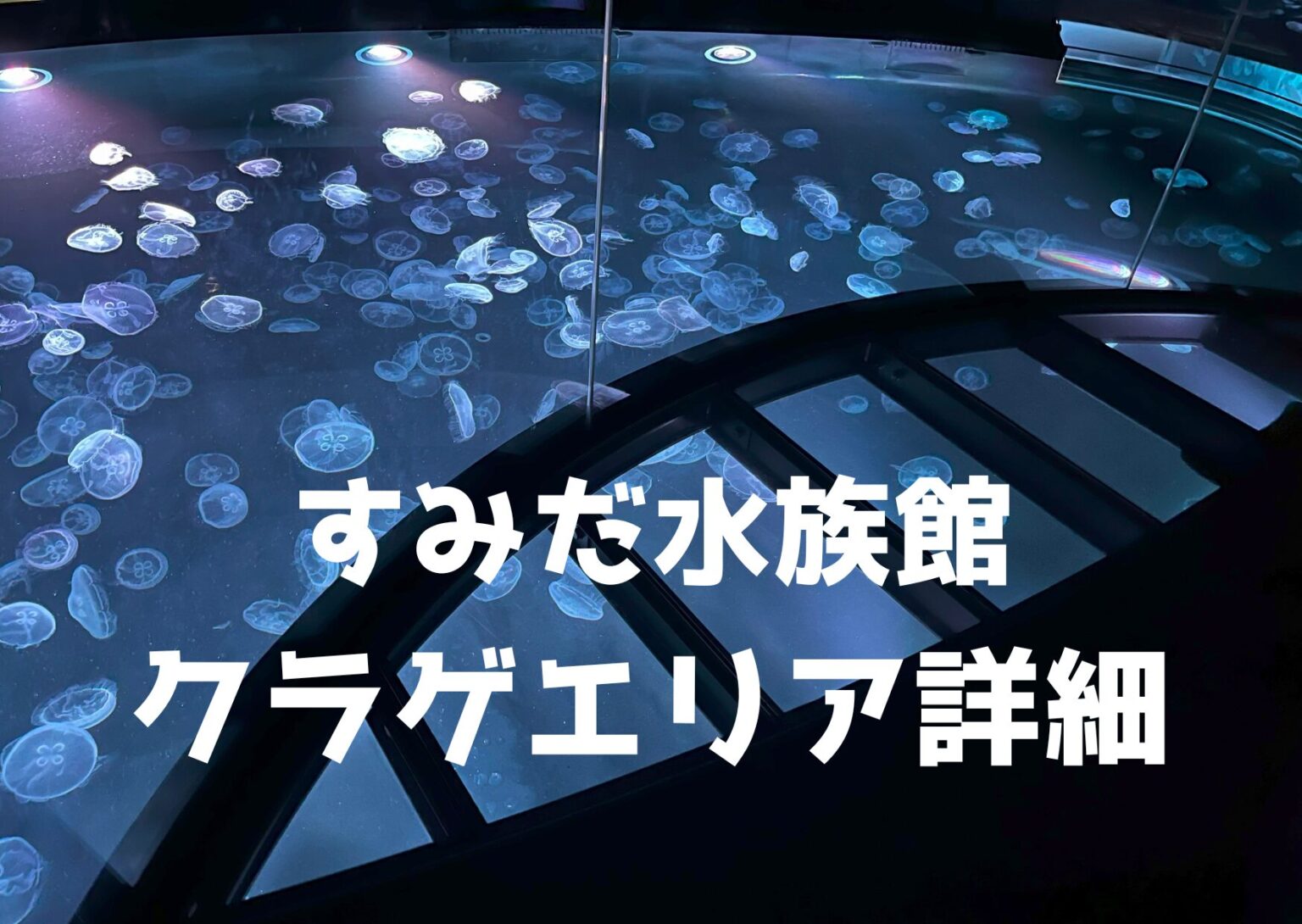 Sunset Gradient Picture Postcard 1 1