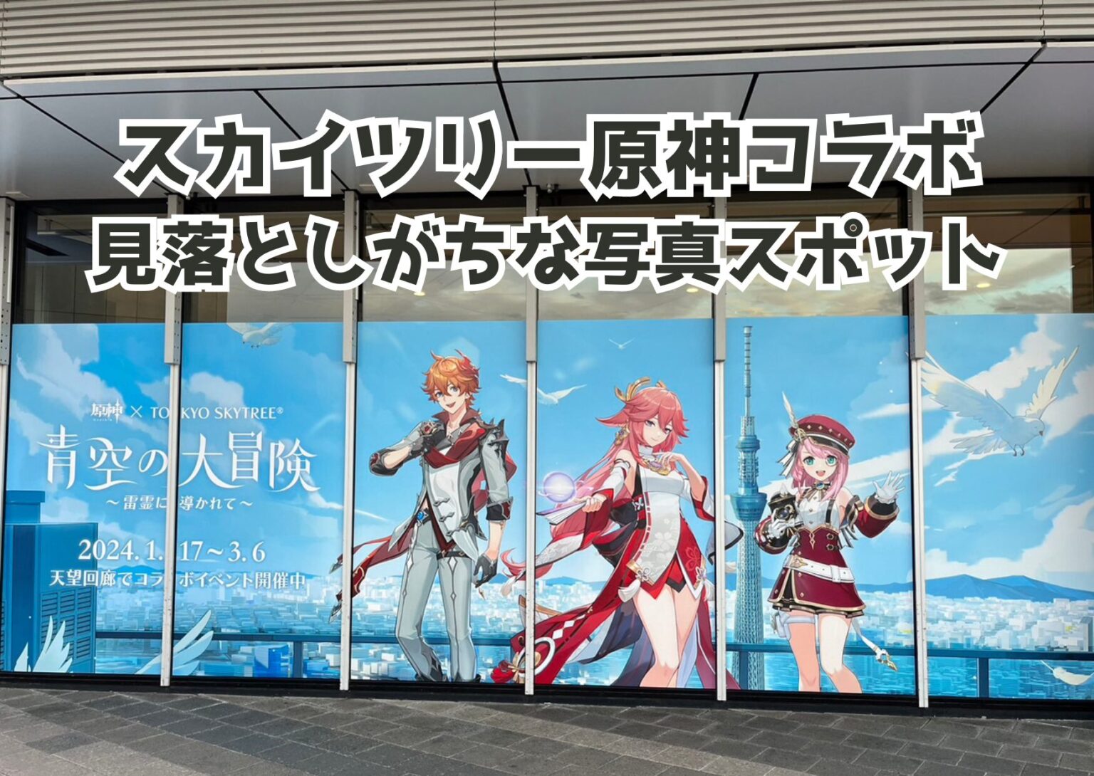 Sunset Gradient Picture Postcard 5