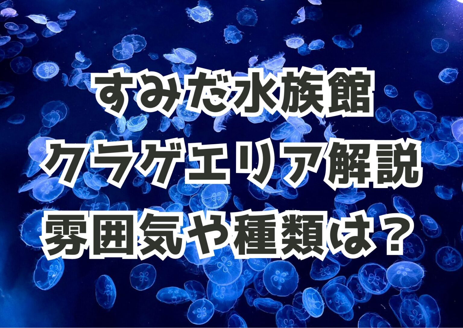 Sunset Gradient Picture Postcard 3