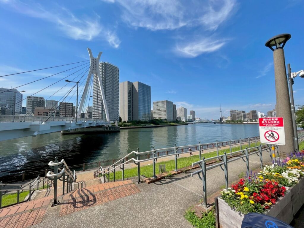 隅田川沿いの広い歩道。カップルでもベビーカーでも歩きやすい湾岸ルート。