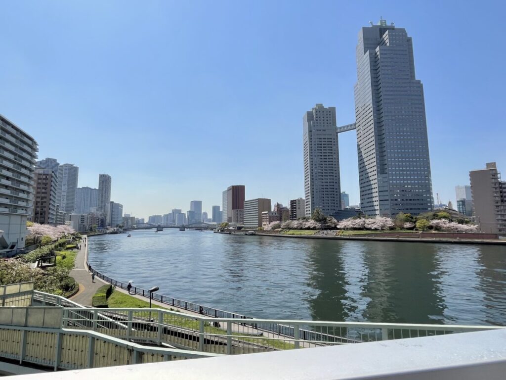 湾岸の開けた遊歩道。豊洲エリアへ自然に繋がる海沿いの景色。